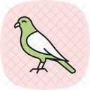 Kestrel Bird Falcon Icon
