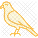 Kestrel Bird Falcon Icon
