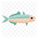 Keta Fish  Icon
