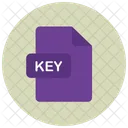 Key File Extension Icon