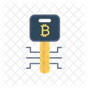 Key Bitcoin Private Icon
