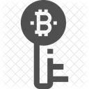 Key Bitcoin Key Key Icône