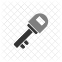 Key Internet Security Access Icon