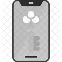 Key Information Mobile Icon