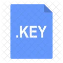 Key Registry File Icon