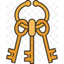 Key Skeleton Bunch Icon