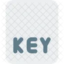 Key File Key Document Key Icon