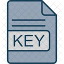 Key File Format Icon