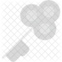 Key Unlocking Access Icon