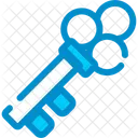 Key Unlocking Access Icon