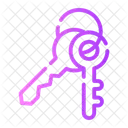 Keys Access Unlock Icon