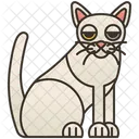 Khao  Icon