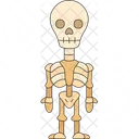 Kid Skeleton Human Icon