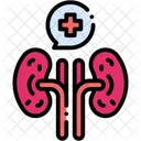 Kidney Internal Organ Icon