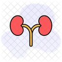 Kidney Organ Medical Icon