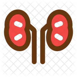 Kidney  Icon