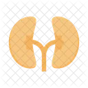 Kidney Ureters Body Icon