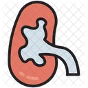 Body Human Kidney Icon