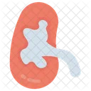 Body Human Kidney Icon
