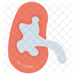 Kidney  Icon