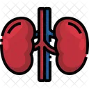 Kidney Organ Body Part Symbol