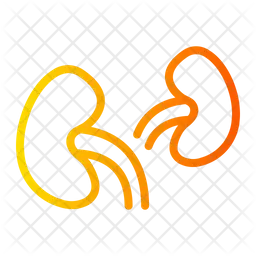 Kidney  Icon
