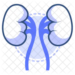 Kidney  Icon