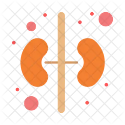 Kidney  Icon