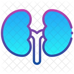 Kidney  Icon
