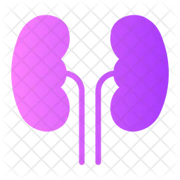 Kidney  Icon