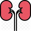 Kidney Organ Healthcare Icon
