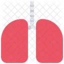 Kidney Organ Medicine Icon