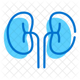 Kidney  Icon