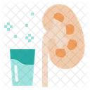Kidney Renal Nephron Icon
