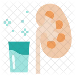 Kidney  Icon