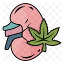 Kidney  Symbol