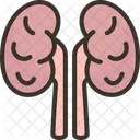 Kidney Urinary Dialysis Icon