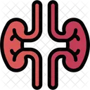 Kidney Biology Healthcare And Medical Icon