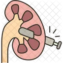 Kidney Tunnel Surgery Icon