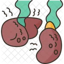 Kidney Liver Failure Icon