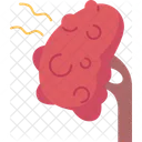 Kidney Damage Organ Icon