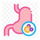 Human Kidney Cancer Icon