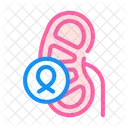 Kidney Cancer  Icon
