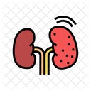Cancer Kidney Color Icon