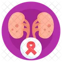 Kidney Cancer Kidney Disease Kidney Tumor Icon