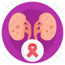 Kidney Cancer Kidney Disease Kidney Tumor アイコン