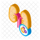 Human Lungs Cancer アイコン