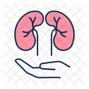 Kidney care  Icon