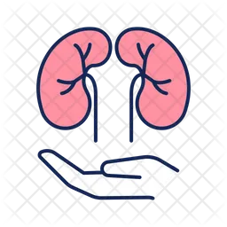 Kidney care  Icon