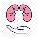 Kidney care  アイコン